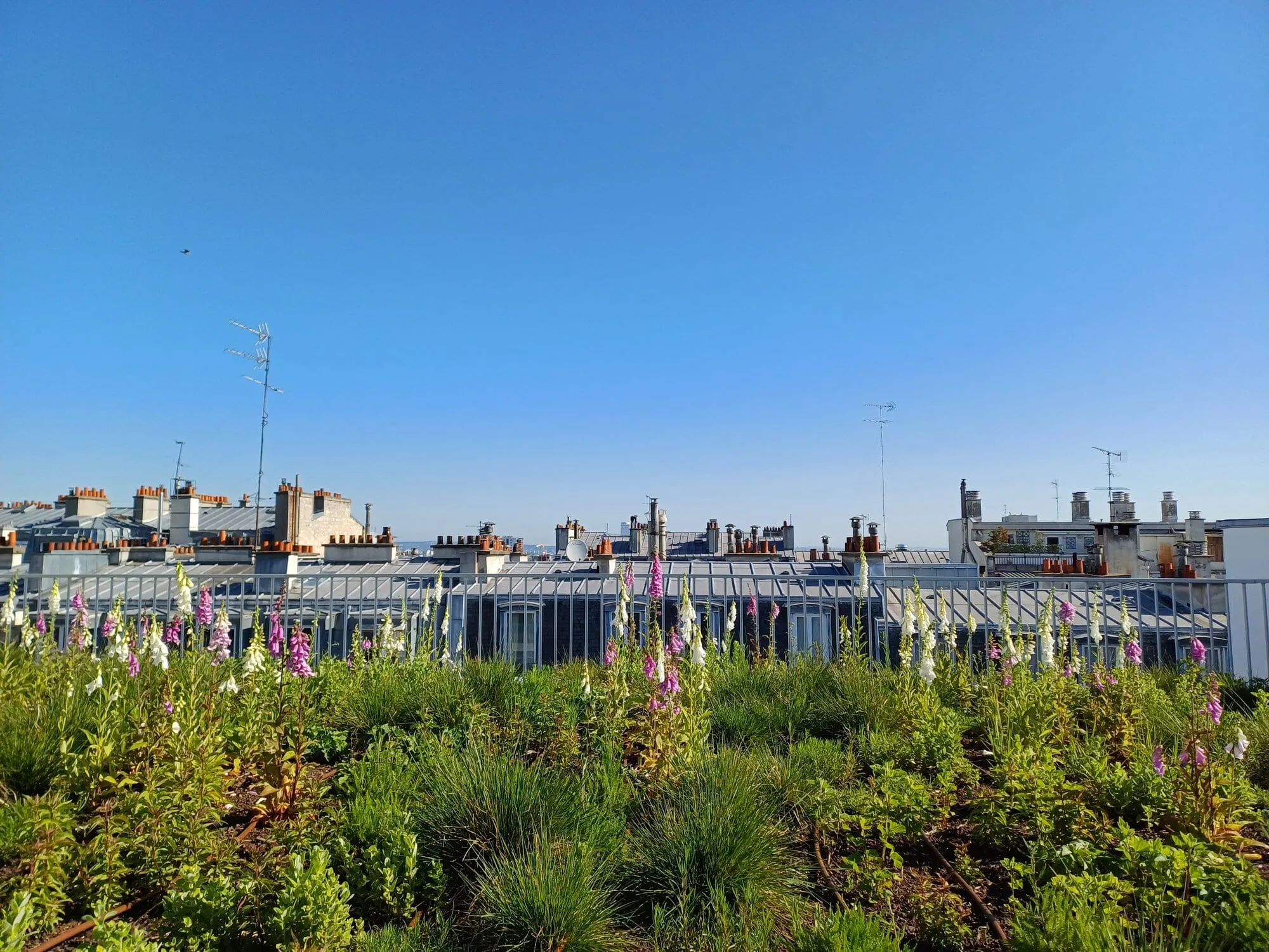 Terrasses pour bureaux