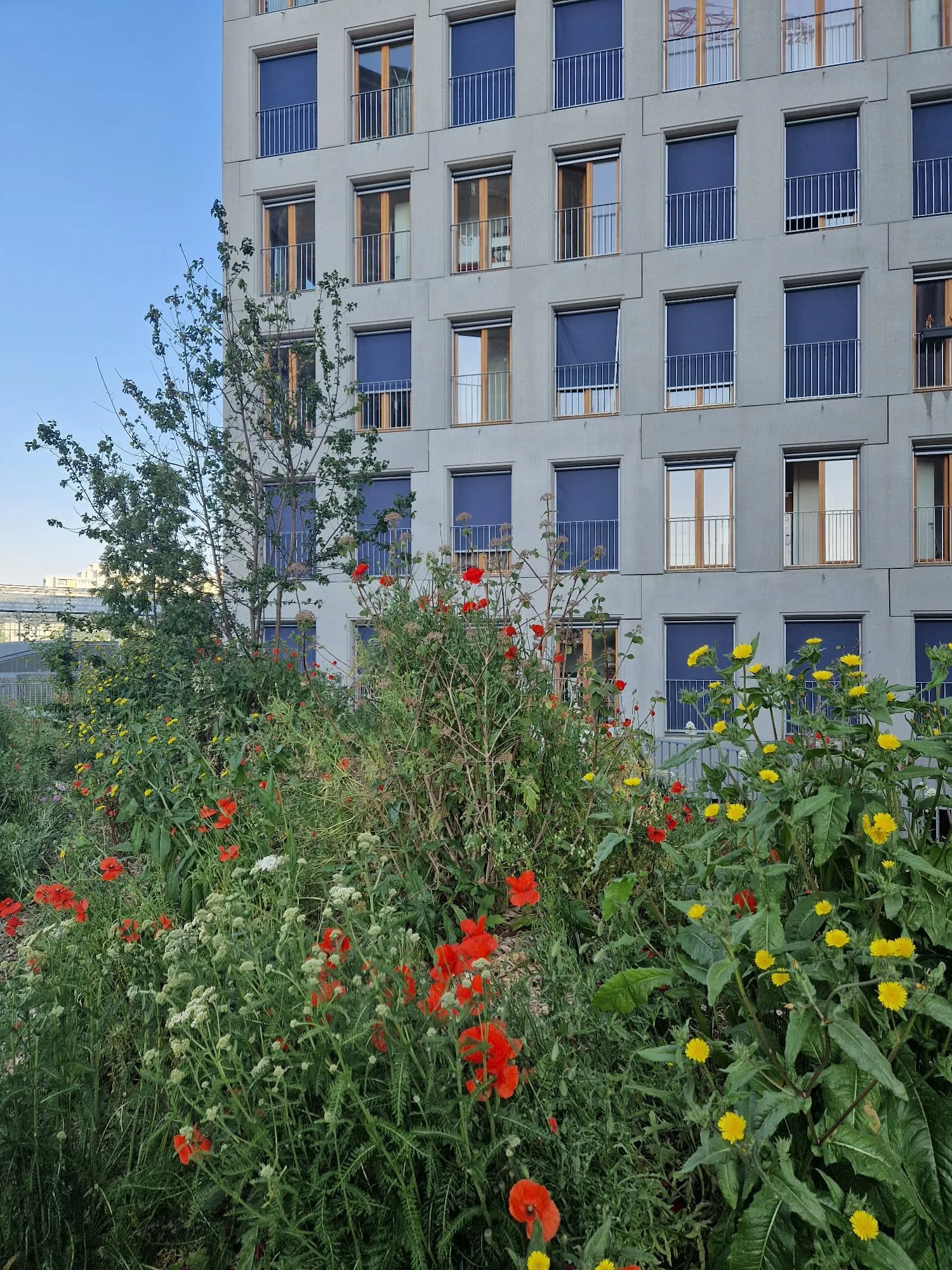 Construction de 143 Logements et 15 SOHO - photo 4