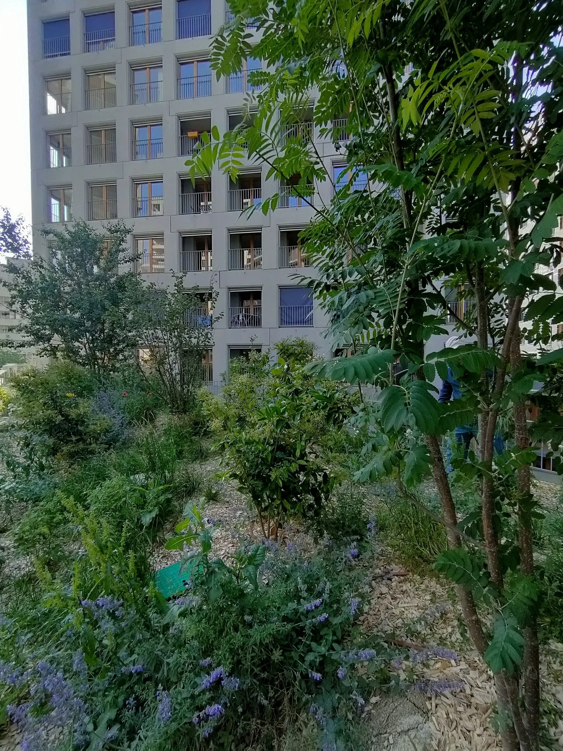 Construction de 143 Logements et 15 SOHO - photo 5