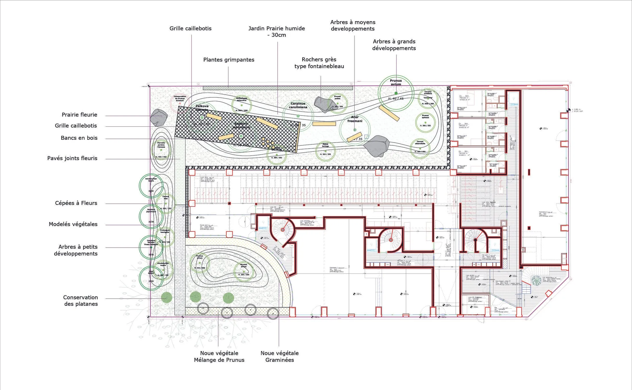 Construction de 62 logements BRS, d'une résidence étudiante de 39 chambres et de 2 locaux d'activités - photo 2