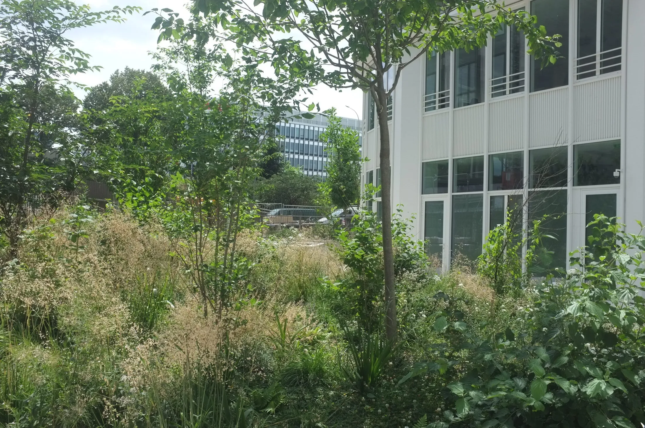 Construction d’un immeuble de bureaux - photo 3