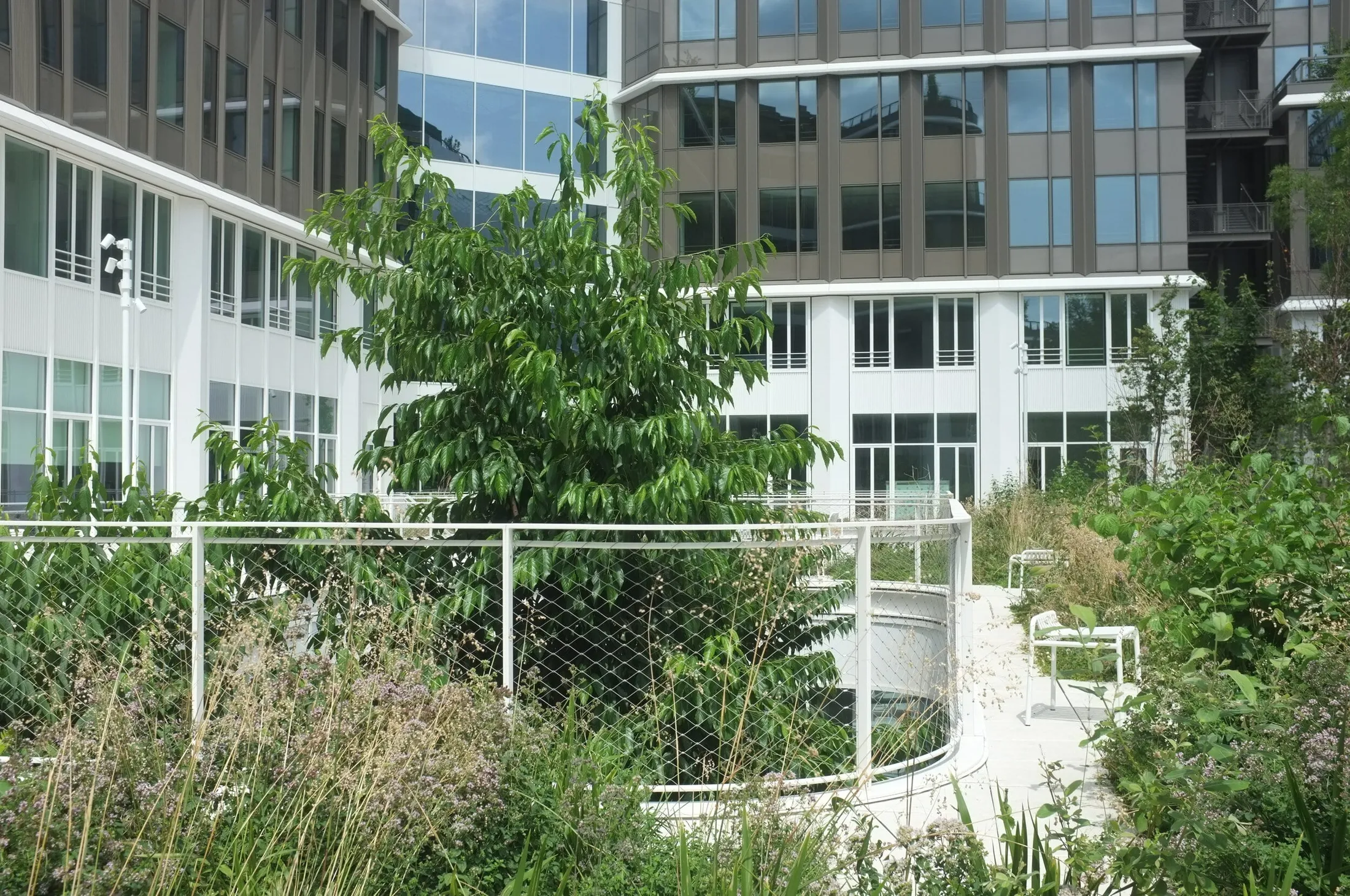 Construction d’un immeuble de bureaux - photo 4