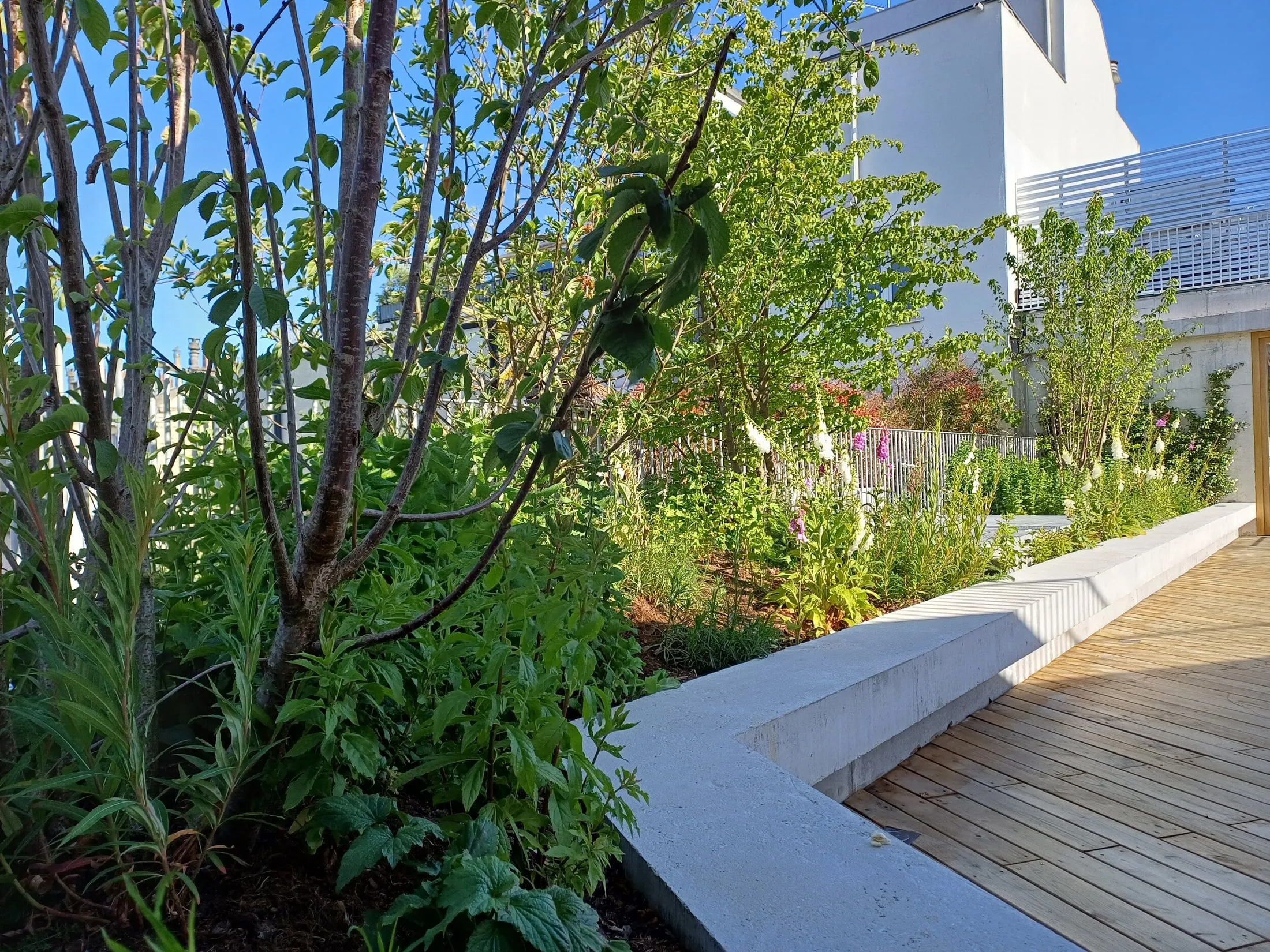 Terrasses pour bureaux - photo 2
